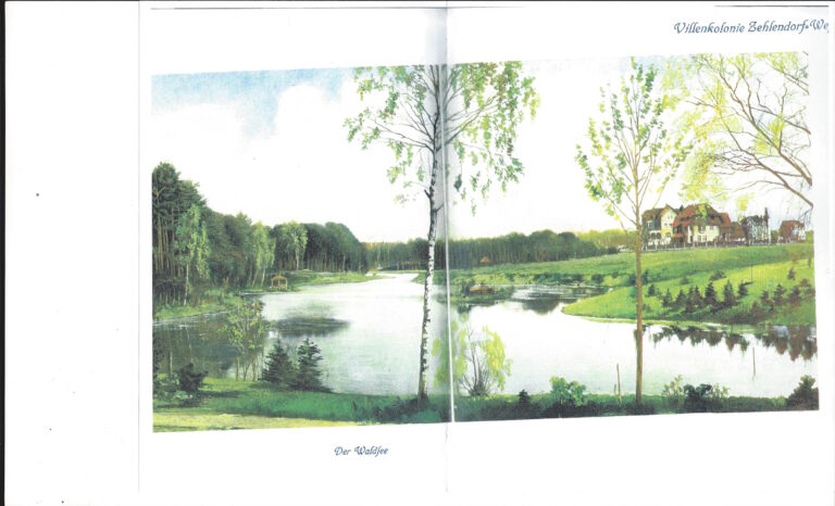 Waldsee Anfang 20.Jahrhundert